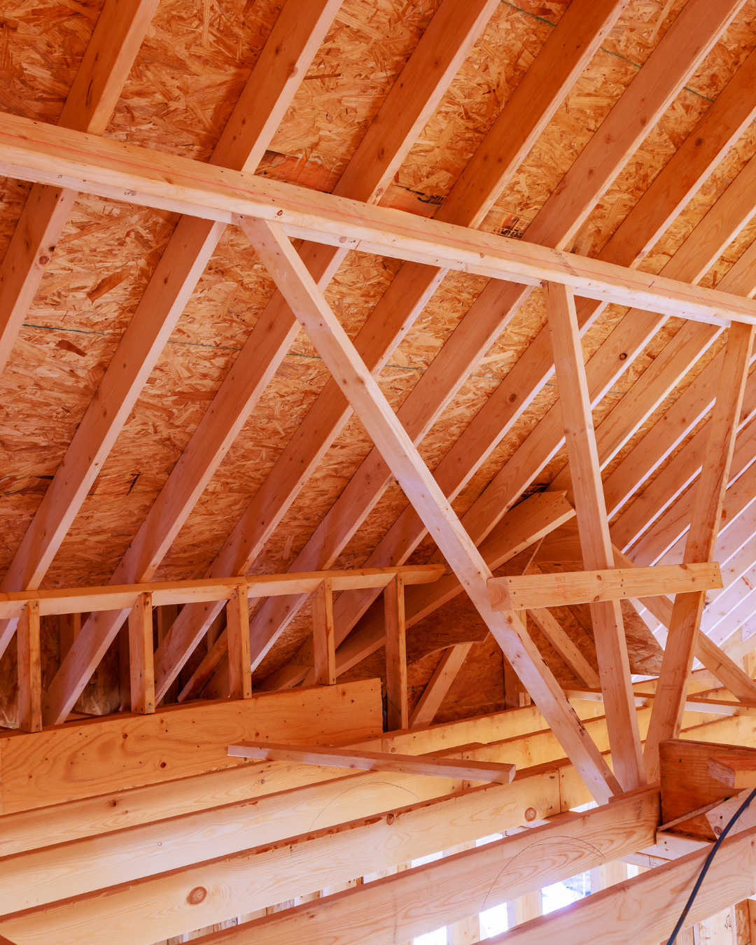 Charpente bois construction