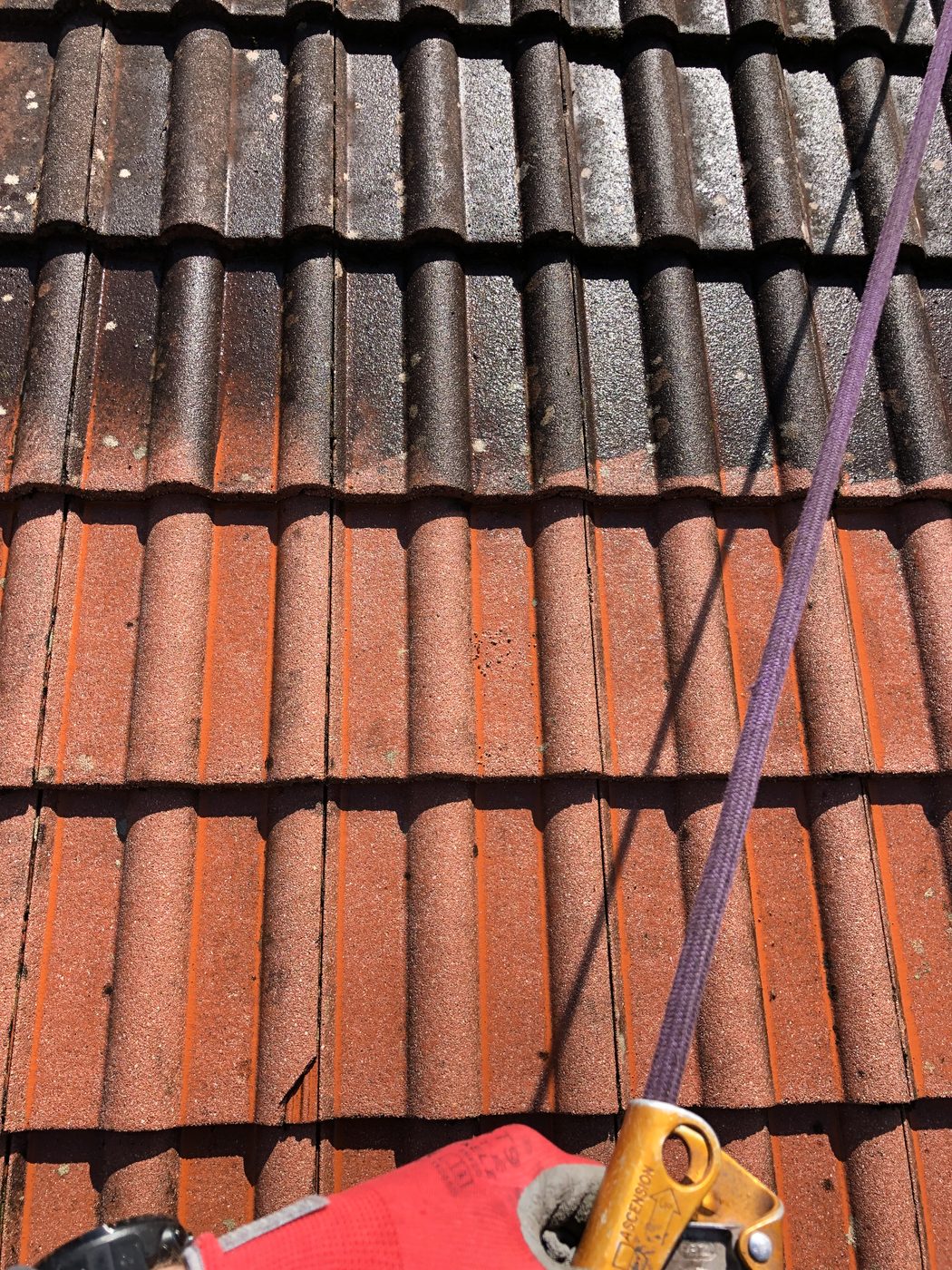 Avant après démoussage de tuiles de toiture par Bauer Couverture Sannois
